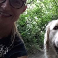 Hondenopvang Ninove: Ellen De Smet
