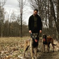 Hondenopvang Holsbeek: Tom
