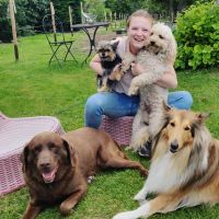 Hondenuitlaatdienst Gent: Tineke