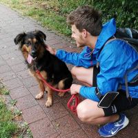 Hondenuitlaatdienst Brussel / Bruxelles: Ruben