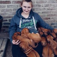 Hondenuitlaatdienst Mol: Shauni