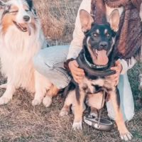 Hondenuitlaatdienst Kampenhout: Zoé