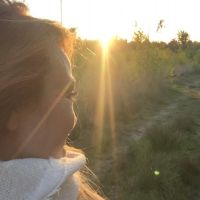Hondenopvang Antwerpen: Simone