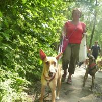 Hondenuitlaatdienst Ronse: Brigitte