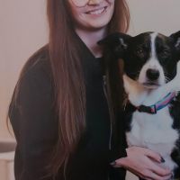 Hondenuitlaatdienst Roeselare: Kelsey