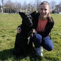 Hondenuitlaatdienst Merelbeke: Selena