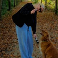 Hondensitter Aartselaar: Charlotte