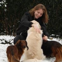 Hondenuitlaatdienst Oostkamp: Kato