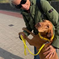 Hondenbaas Kapellen van Issa