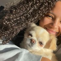 Hondenuitlaatdienst Sint-Amands: Godiva