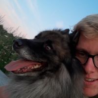 Hondenopvang Merelbeke: Stijn