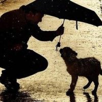 Hondenuitlaatdienst Heusden-Zolder: Animal Care Ronald