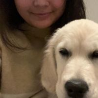 Hondenuitlaatdienst Zedelgem: Charlene