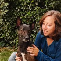 Hondensitter Gontrode: Lien