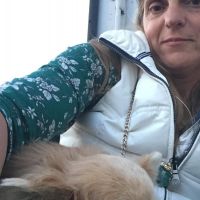 Hondenopvang Hoboken: Tanja