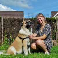 Hondenuitlaatdienst Leuven: Fleur