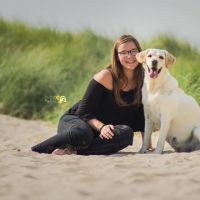 Hondenopvang Sint-Katelijne-Waver: Emily