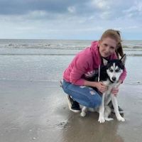 Hondenopvang Sinaai: Gwenda
