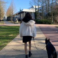 Hondensitter Sint-Niklaas: Alyssia