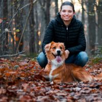 Hondenuitlaatdienst Boortmeerbeek: Lies