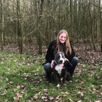 Hondenuitlaatdienst Beveren (Oost-Vlaanderen): Yana