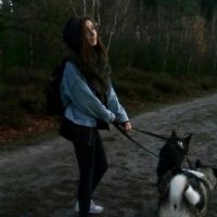Hondenuitlaatdienst Hasselt: Evy