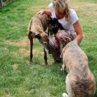 Hondenuitlaatdienst Aalst: Caroline