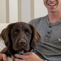 Hondenuitlaatdienst Wilrijk: Arthur