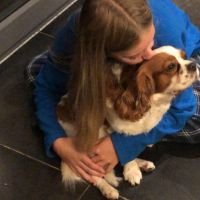 Hondenuitlaatdienst Merelbeke: Kendra