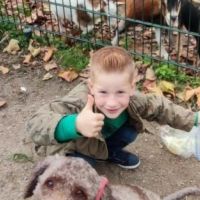Hondensitter Turnhout: Shannah