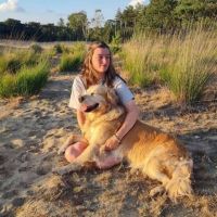 Hondensitter Schoten: Chelsey