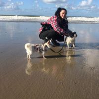 Hondensitter Oudenaarde: Selena