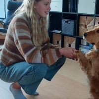 Hondensitter Oostende: Bente