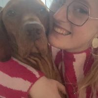 Hondensitter Gent: Sarie