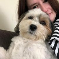Hondensitter Diepenbeek: Helena