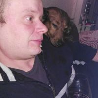 Hondensitter Tienen: Koen
