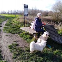 Hondenuitlaatdienst Torhout: Kathleen