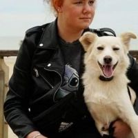 Hondenuitlaatdienst Berchem (Antwerpen): Lotte
