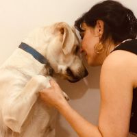 Hondenopvang Brasschaat: HAPO
