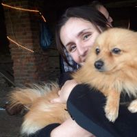 Hondenuitlaatdienst Kessel-Lo: Lorena