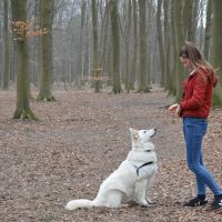 Hondenuitlaatdienst Heverlee: Ellen Trappeniers