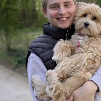 Hondensitter Turnhout: Yorben