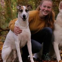 Hondenuitlaatdienst Kontich: Kirsten