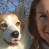 Hondenuitlaatdienst Bredene: Tania