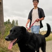Hondensitter Sint-Katelijne-Waver: Yanis