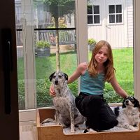 Hondenuitlaatdienst Beveren (Oost-Vlaanderen): Sam