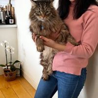 Hondensitter Saint-Gilles (Bruxelles): Melicia