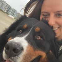 Hondenuitlaatdienst Antwerpen: Niki