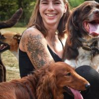 Hondenopvang Londerzeel: Kelly