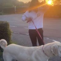 Hondenuitlaatdienst Sint-Niklaas: Tina-Abigail